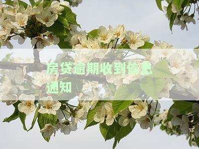 房贷逾期收到信息通知怎么办？正确处理步骤全攻略！