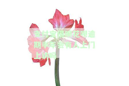 支付宝花呗借呗逾期会不会上门催收，支付宝花呗、借呗逾期，真的会有人上门催收吗？
