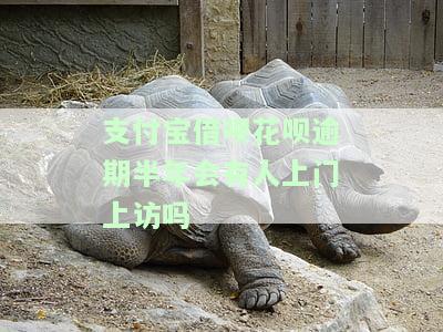 花呗借呗逾期两千多,逾期五个月了,打电话说上门调查，逾期五千多元，花呗借呗上门调查？该如何处理？