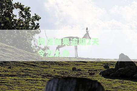 网贷逾期两天后果，两天网贷逾期，你将面临这些严重后果！