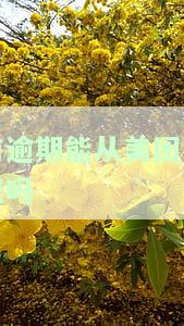 有逾期能从美团入职吗