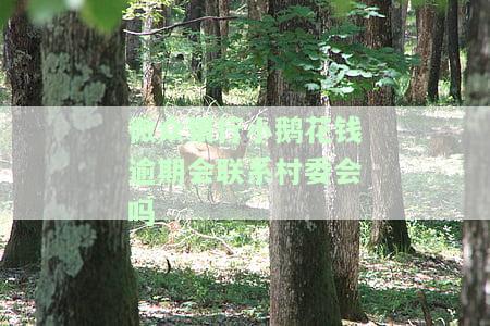 微众银行小鹅花钱逾期会否联系村委会？真的会有宽限期和拒交易的情况吗？额度冻结是否会影响坐牢风险？