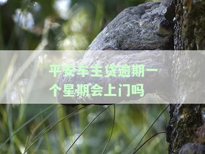 平安车主贷逾期一个星期会上门吗？真的会上门吗？逾期一天会上征信吗？逾期后应该怎么办？逾期多久会起诉、收车？如何处理被收车的情况？