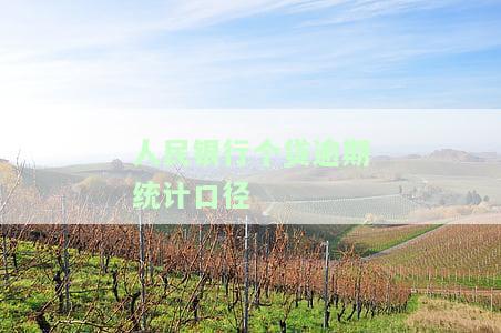 人民银行个贷逾期统计口径有哪些，详解人民银行个贷逾期统计口径