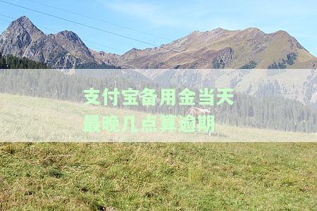 支付宝备用金：最还款时间及影响因素解析