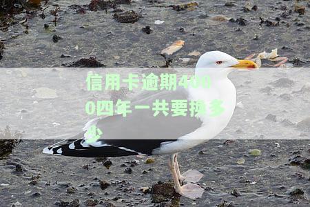 信用卡4000逾期一年应还多少钱？利息、后果及可能的法律风险全解析