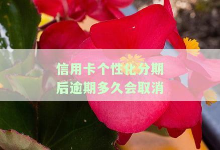 信用卡个性化分期后逾期多久会取消申请，个性化分期后逾期多久会导致信用卡申请被取消？
