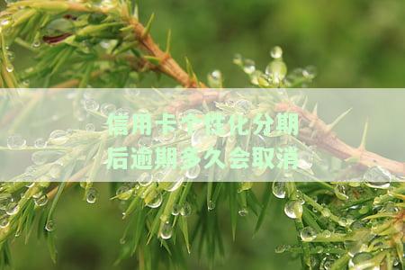 信用卡个性化分期后逾期多久会影响征信？逾期后再操作如何处理？