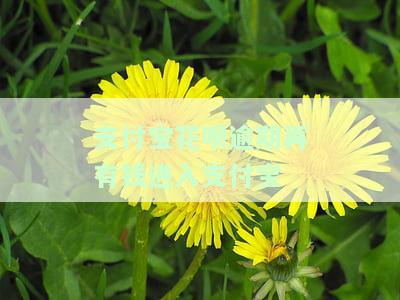 花呗逾期往支付宝里放钱是直接还款吗，解答：花呗逾期后，向支付宝账户充值是否可以直接还款？