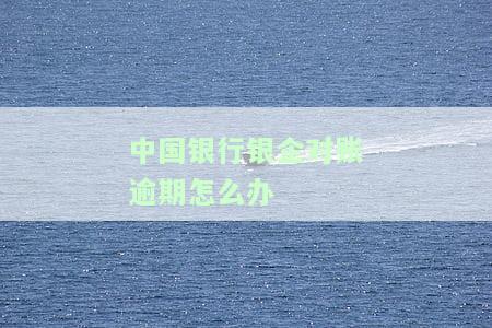中国银行企业对账时间，了解中国银行企业对账时间，确保财务准确无误！