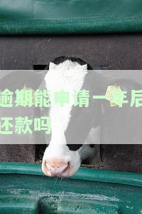 逾期能申请一年后还款吗-逾期能申请一年后还款吗