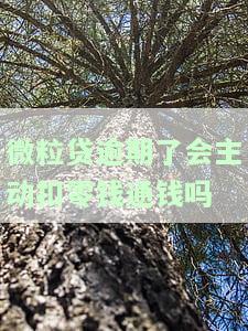 微粒贷逾期了会自动扣除我微信里的钱吗？了解扣款方式与风险