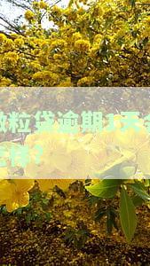 微粒贷逾期1天会怎样?
