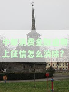 中邮消费金融逾期上征信怎么消除?-中邮消费金融逾期上征信怎么消除记录