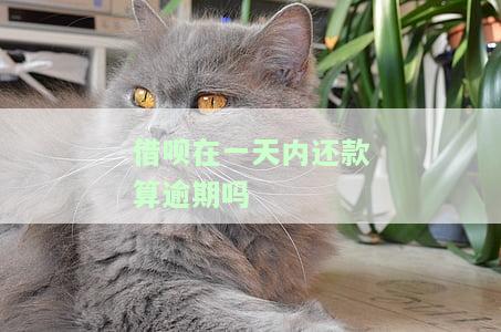 借呗在一天内还款算逾期吗？怎么办？