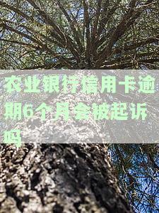 农行信用卡5000逾期6个多月，逾期6个月！农行信用卡欠款5000元，该如何处理？