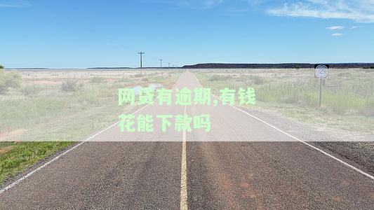 网贷有逾期，有钱花能否下款及安全性？逾期是否会被起诉？对其他网贷的影响如何？