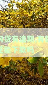 有钱花网贷逾期会被起诉吗，有钱花网贷逾期：是否会面临被起诉的风险？