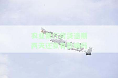 中国农业银行房贷逾期两天会影响信用吗，中国农业银行房贷逾期两天是否会影响信用？