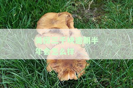 美团三千块逾期半年会怎么样-美团三千块逾期半年会怎么样吗