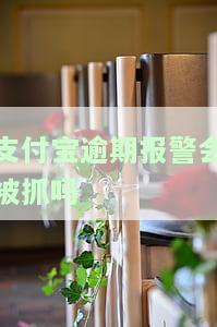 支付宝逾期报警会被抓吗，逾期未还支付宝贷款，报警后是否会面临被抓的风险？
