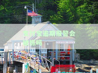 支付宝逾期会报警吗？处理方法、是否会立案及起诉，法律程序解析