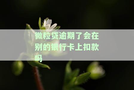 微粒贷逾期了会在别的银行卡上扣款吗-微粒贷逾期会从其他银行扣款吗?