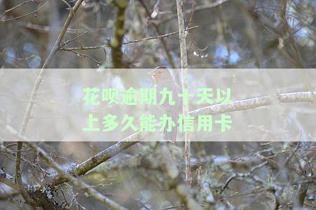 花呗逾期九十天以上多久能办信用卡啊，花呗逾期90天以上后，多长时间可以申请办理信用卡？