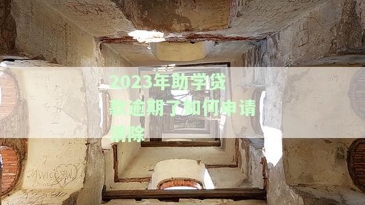 2023年助学贷款逾期后如何申请消除利息并进行还款？