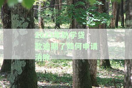 2023年助学贷款逾期后：如何申请消除欠款记录及还款？