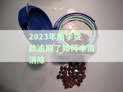 助学贷款逾期了，如何申请还款、补救及处理流程？