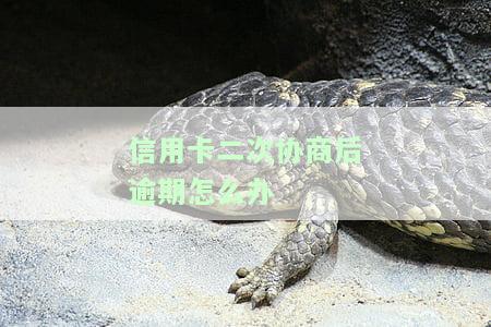二次协商再逾期能补上吗？二次逾期有宽限期及补救办法，二次分期后再次逾期，15天内还款有何影响？