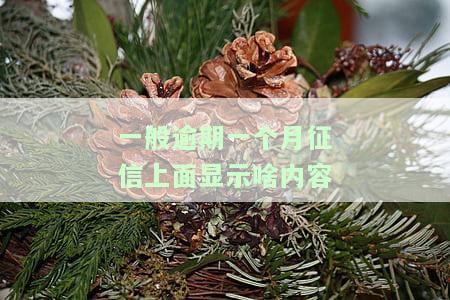 一般逾期一个月征信上会显示什么？真的会影响信用记录吗？逾期一个月后应该怎么做？是否会被拉黑？有人做到了不影响征信，如何实现的？