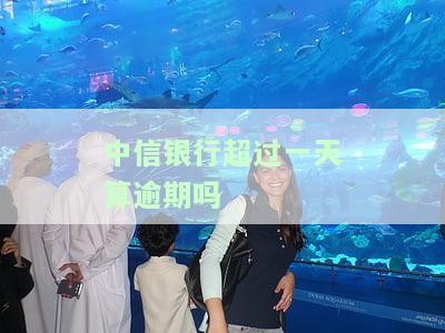 中信银行：超过一天算逾期吗？还款晚一天会有什么影响？