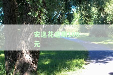 安逸花逾期100元会起诉吗？欠款多少天会被诉？实例解析