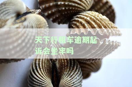 面对天下行租车起诉该怎么办，如何应对天下行租车的起诉？