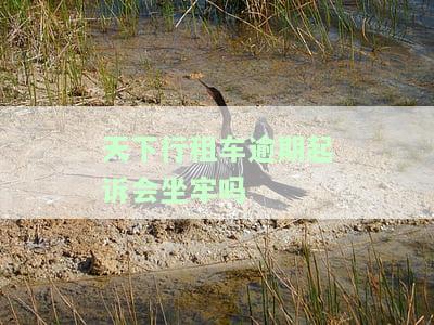 天下行租车逾期起诉会坐牢吗-天下行租车逾期起诉会坐牢吗是真的吗