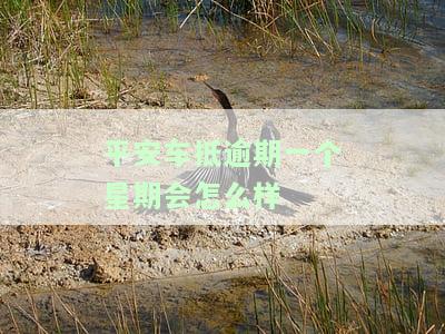 平安车抵逾期一个星期会怎么样-平安车抵贷逾期多久会要求止合同