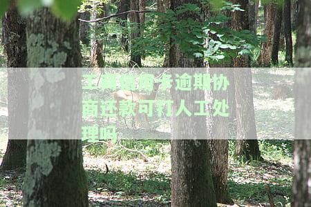 工行信用卡逾期协商还款指南：如何申请、易通过吗？包括协商还本金、期还款及减免违约金等全攻略