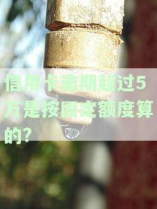 是所有信用卡逾期5万以上还是单独？逾期不还款会坐牢吗？