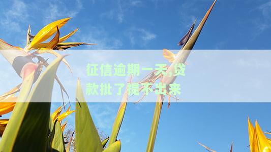 征信逾期一天,贷款批了提不出来了，征信逾期一天导致贷款无法提取，怎么回事？