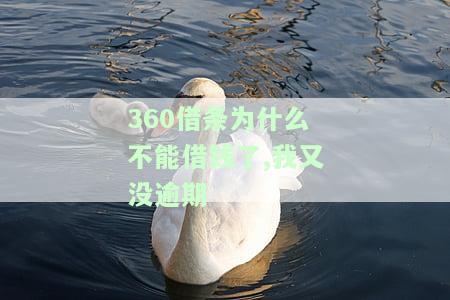 360借条为什么不能借钱了,我又没逾期