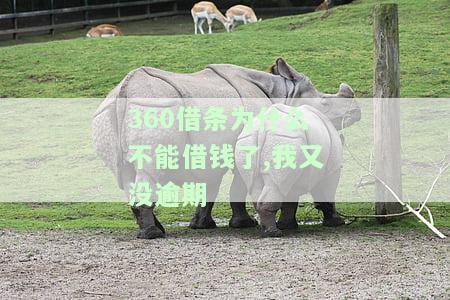 为什么不能借钱了,我又没逾期-为什么不能借钱了,我又没逾期呢
