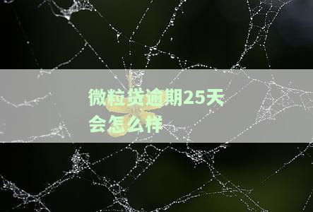 微粒贷逾期25天会怎么样处理，警惕！微粒贷逾期25天将面临何种处理？