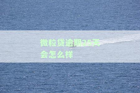 微粒贷逾期22天会怎么样？影响征信、催收方式及是否能再次借款解析