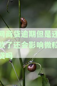 网商贷逾期后还清，会继续借款吗？影响贷款资格吗？安全性如何？