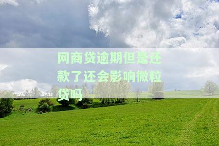 网商贷逾期但是还款了还会影响微粒贷吗