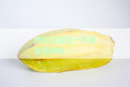 微粒贷缓一天还有罚息吗，还款一天，微粒贷会有罚息吗？