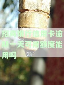 招商信用卡逾期一天，紧急提醒：招商信用卡逾期一天将产生严重影响！