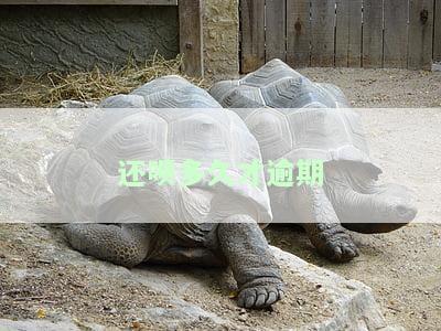 还呗多久才逾期